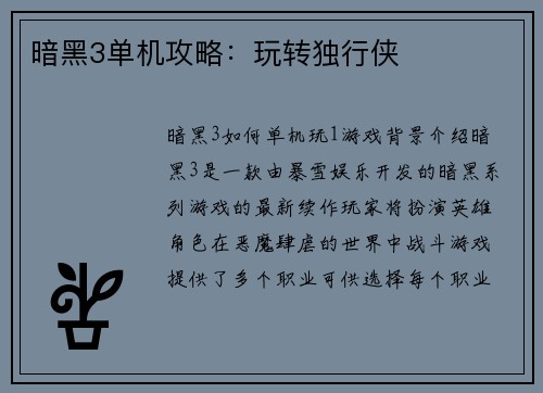 暗黑3单机攻略：玩转独行侠